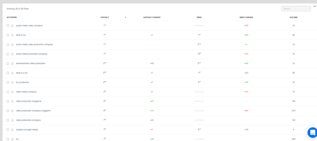 List of Selected Keyword and the ranking position in SERP